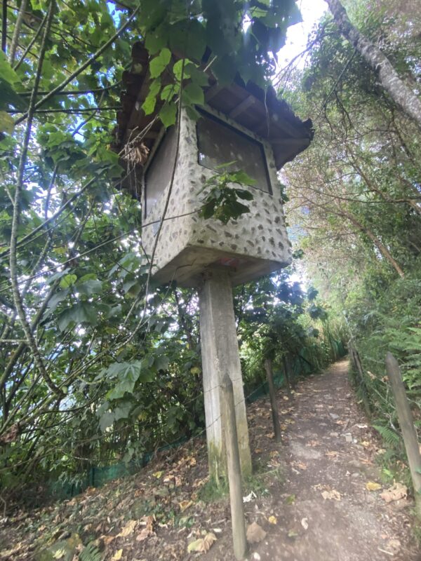 Tour Pablo Escobar + Comuna 13 - Medellín para dos o mas personas - Imagen 6