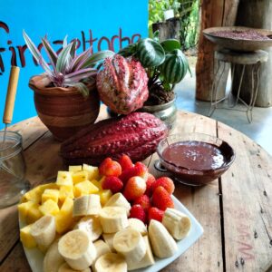 Tour del Cacao - Finca chocolatera en San Rafael Antioquia