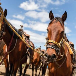 Cabalgata Copacabana TODO INCLUIDO - Medellín