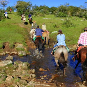 Cabalgata Caldas Antioquia Todo Incluido