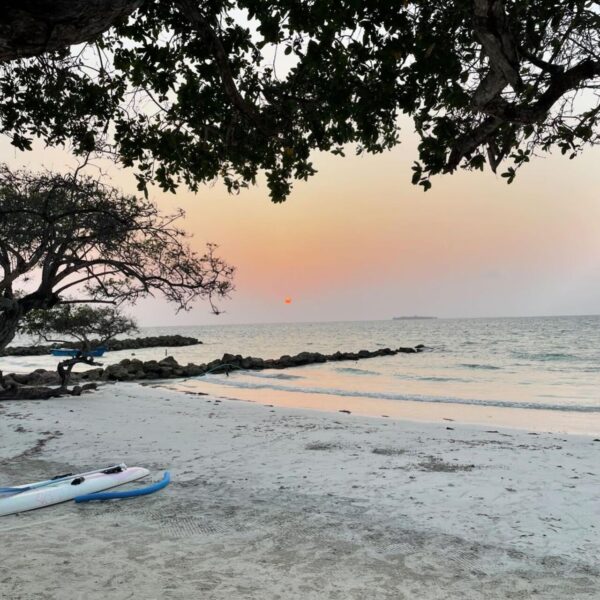Tour Carey Beach Cartagena - Imagen 6