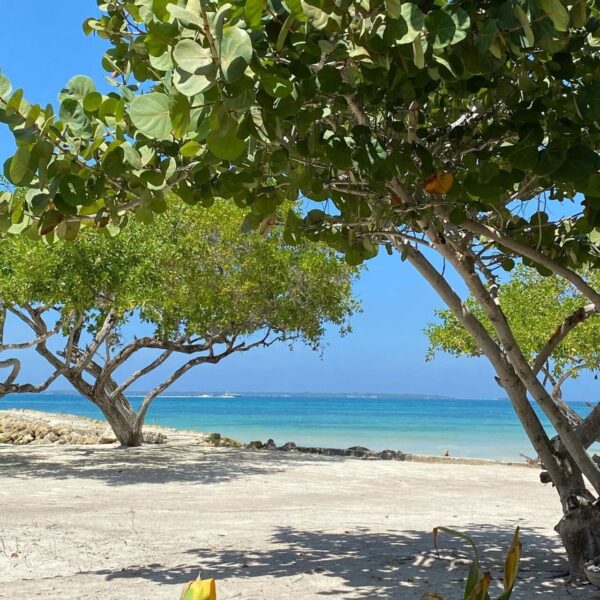 Tour Carey Beach Cartagena - Imagen 7