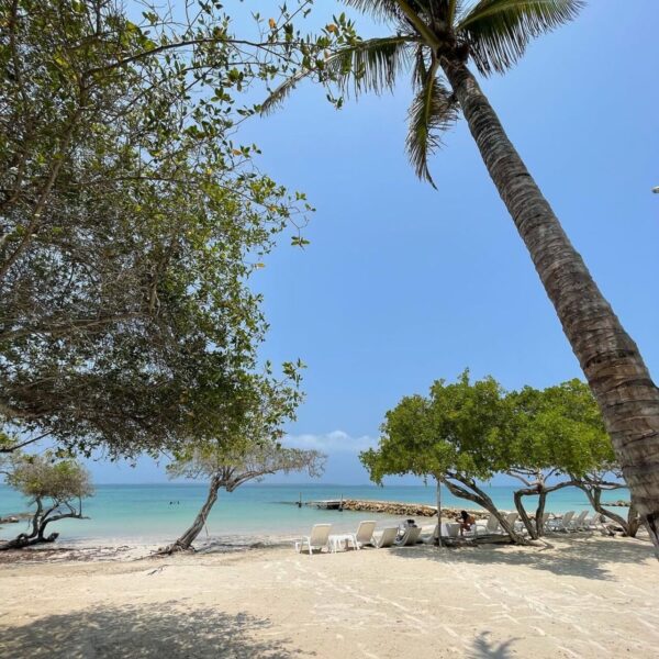 Tour Carey Beach Cartagena - Imagen 9