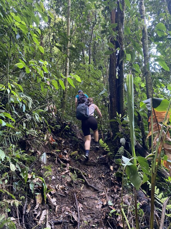 Senderismo y Ascenso a la Roca El Tabor - Cerca a Medellín - Imagen 3
