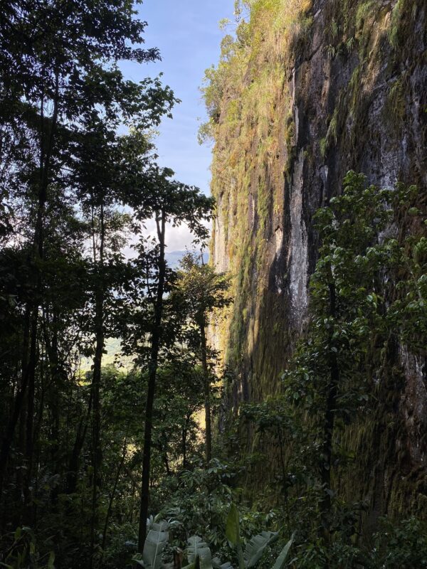 Senderismo y Ascenso a la Roca El Tabor - Cerca a Medellín - Imagen 4
