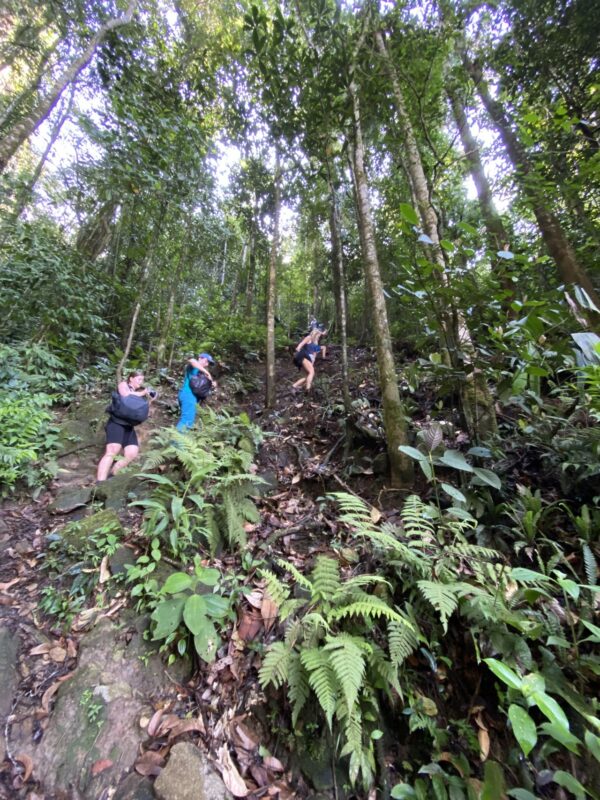 Senderismo y Ascenso a la Roca El Tabor - Cerca a Medellín - Imagen 5