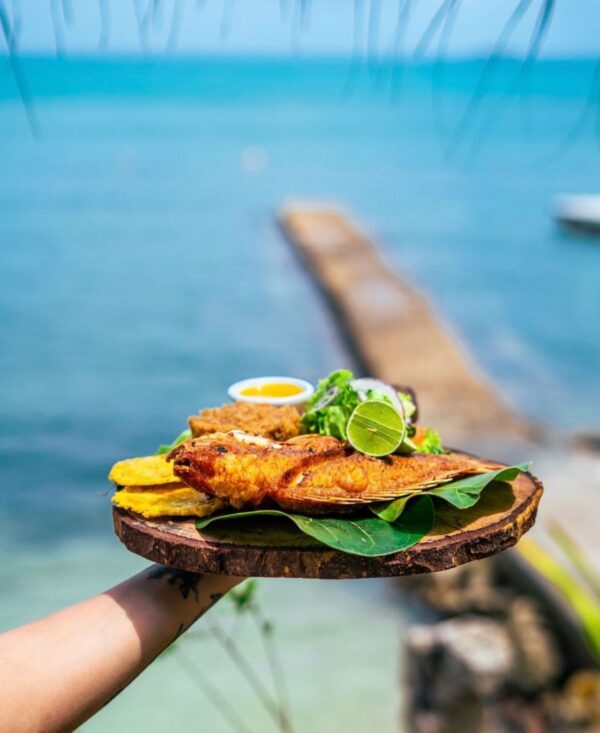Tour CocoLiso Isla - Cartagena - Day Open Tour Premium - Imagen 6